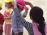 運動会　なんよう園